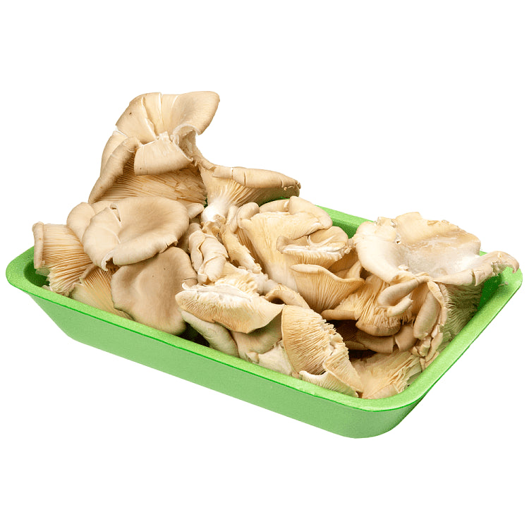 Μανιτάρια Πλευρώτους Ελληνικά 500gr