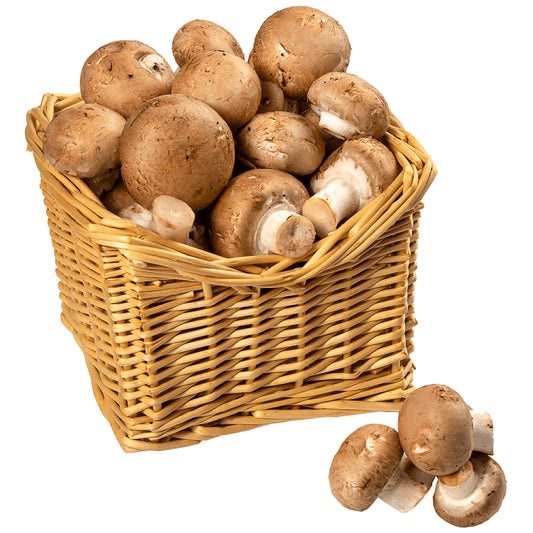Μανιτάρια Brown Εισαγωγής Συσκευασία 500gr