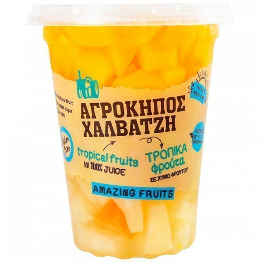Αγρόκηπος Τροπικά Φρούτα Ποτήρι 400gr